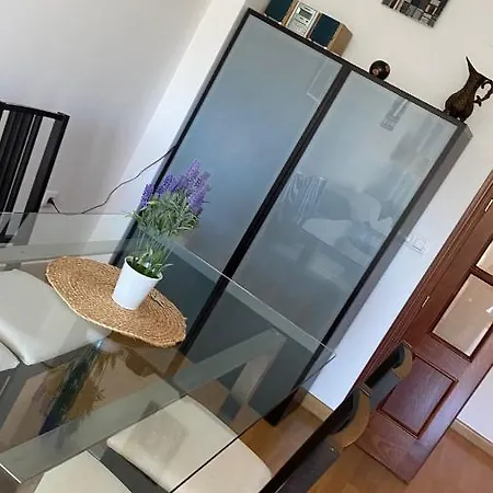 Duplex Junto Al Puente Con Terraza Y Parking Privado Precio No Incluido A 5m Del Teatro De La Axerquia De Córdoba