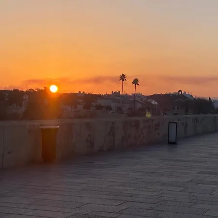 公寓 Duplex Junto Al Puente Con Gran Terraza Y Parking Privado *